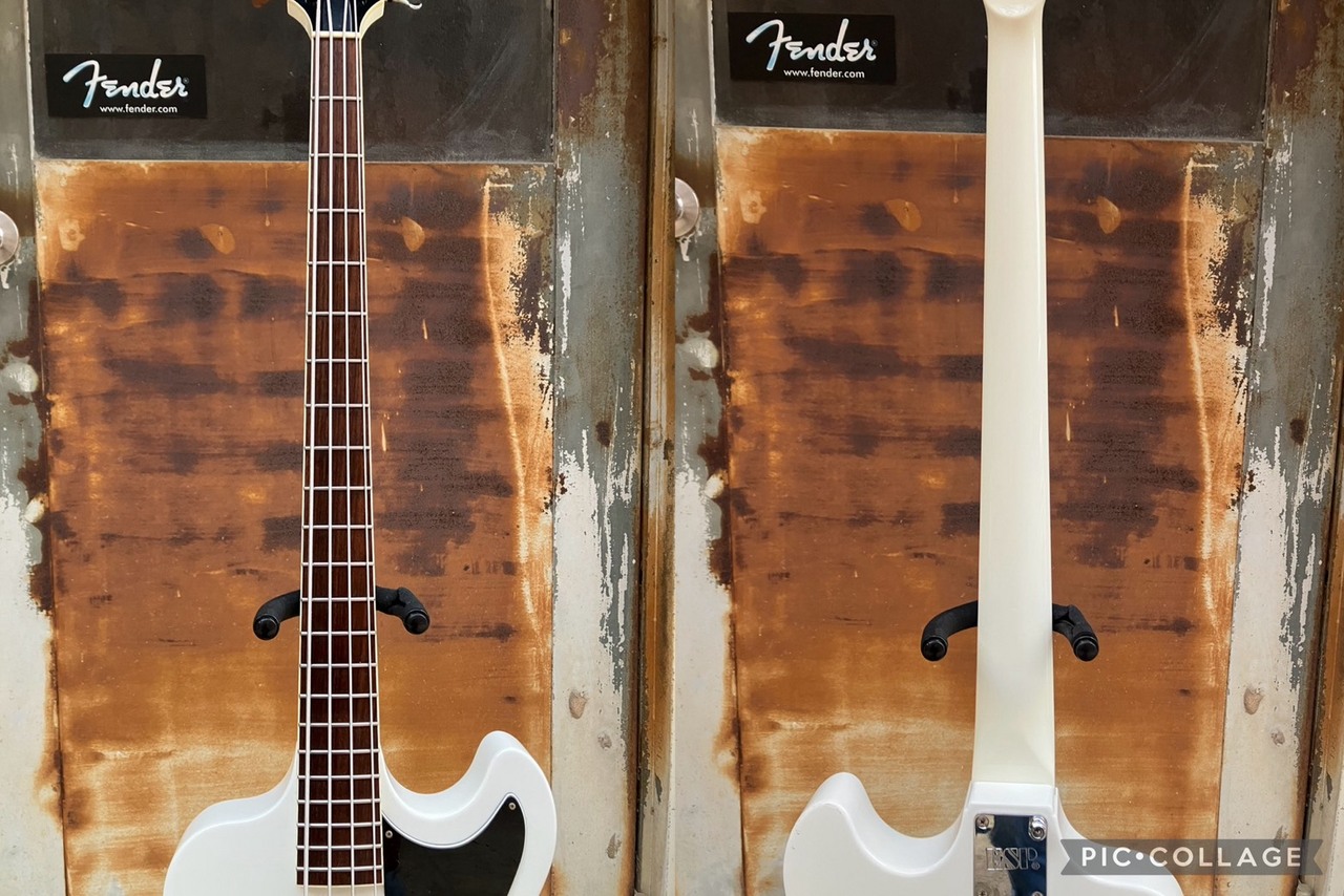 ESP D-TR-300 DIR EN GREY Toshiyaさんモデル Dir en grey（中古
