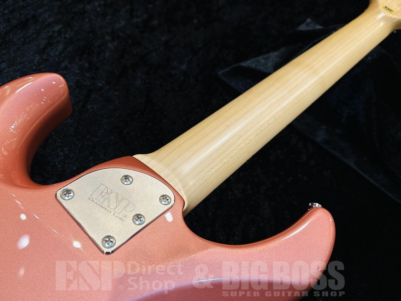 ESP SNAPPER-7 Fujioka Custom【Vintage Burgundy Mist】（新品/送料