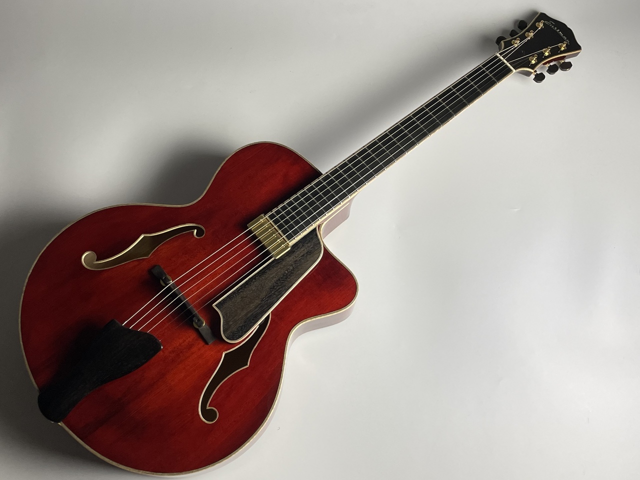 Eastman AR810CE フルアコ - アコースティックギター