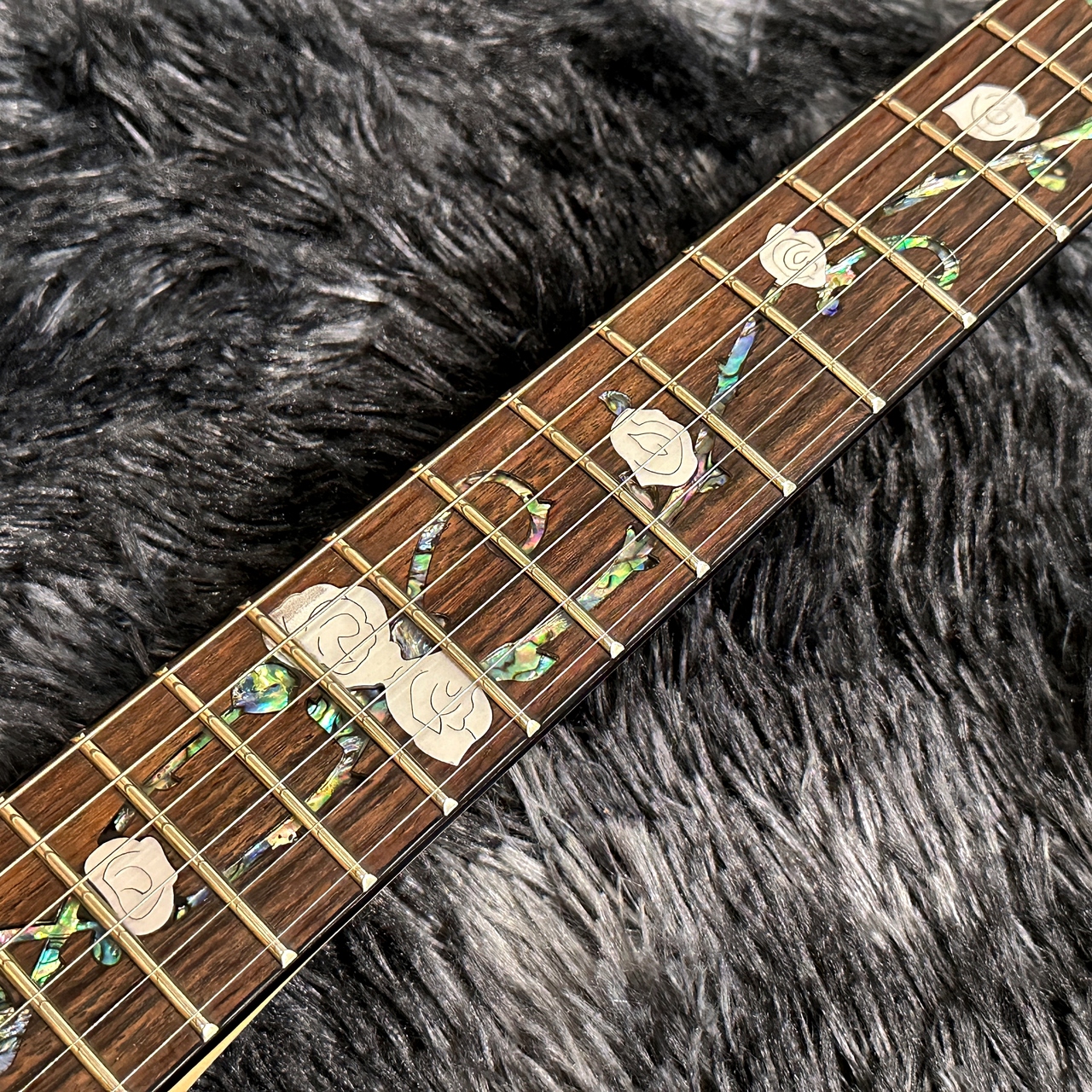 Aria Pro 日本製 natural Aria Pro II TEG-780 N (Natural) 【特価】【限定モデル】（新品