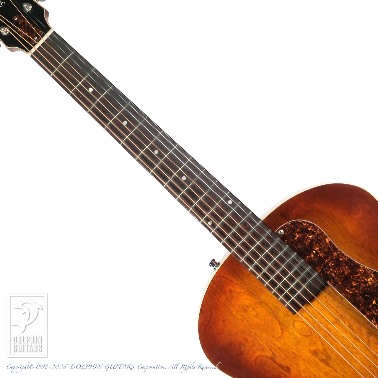 Godin 5th Avenue Kingpin（中古）【楽器検索デジマート】