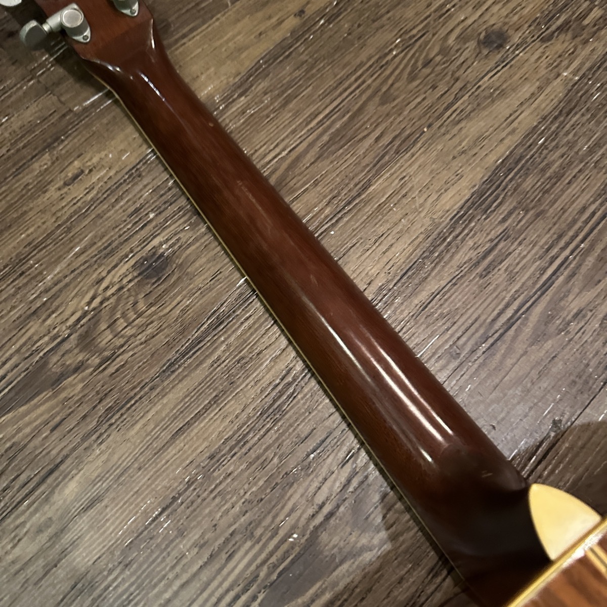 Tokai Cat's Eyes CE-250 Acoustic Guitar（中古/送料無料）【楽器検索