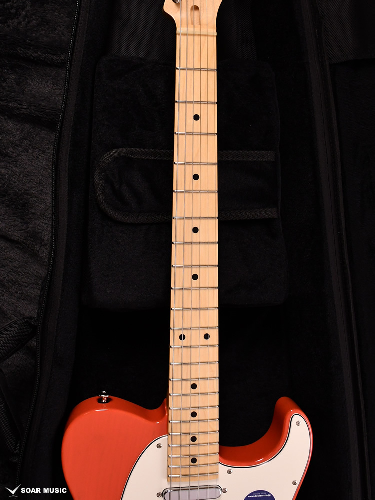 momose モモセ MT2-STD/M SFFR シースルーフェイテッドフェスタレッド