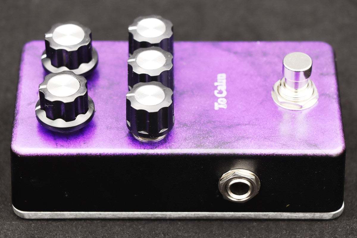 1995fx To Calm V2 Purple Limited ディストーション イチキューキュー