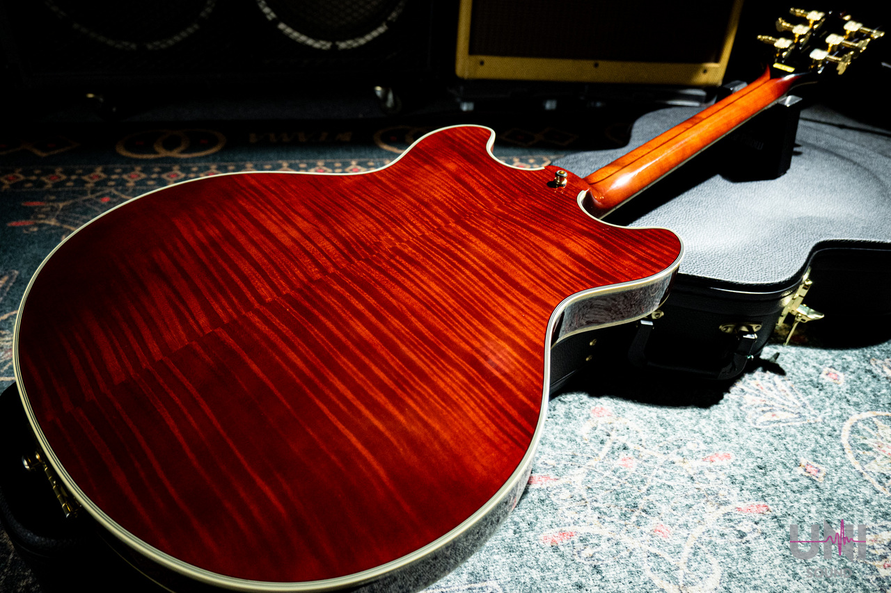 D'Angelico Excel DC Stairstep Viola（中古）【楽器検索デジマート】