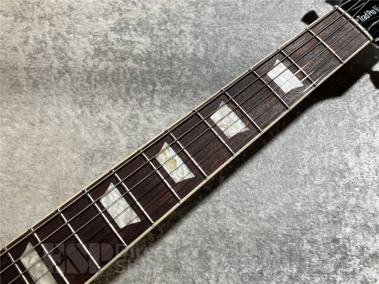城*山様 Gibson Les Paul Traditional Pro 201
