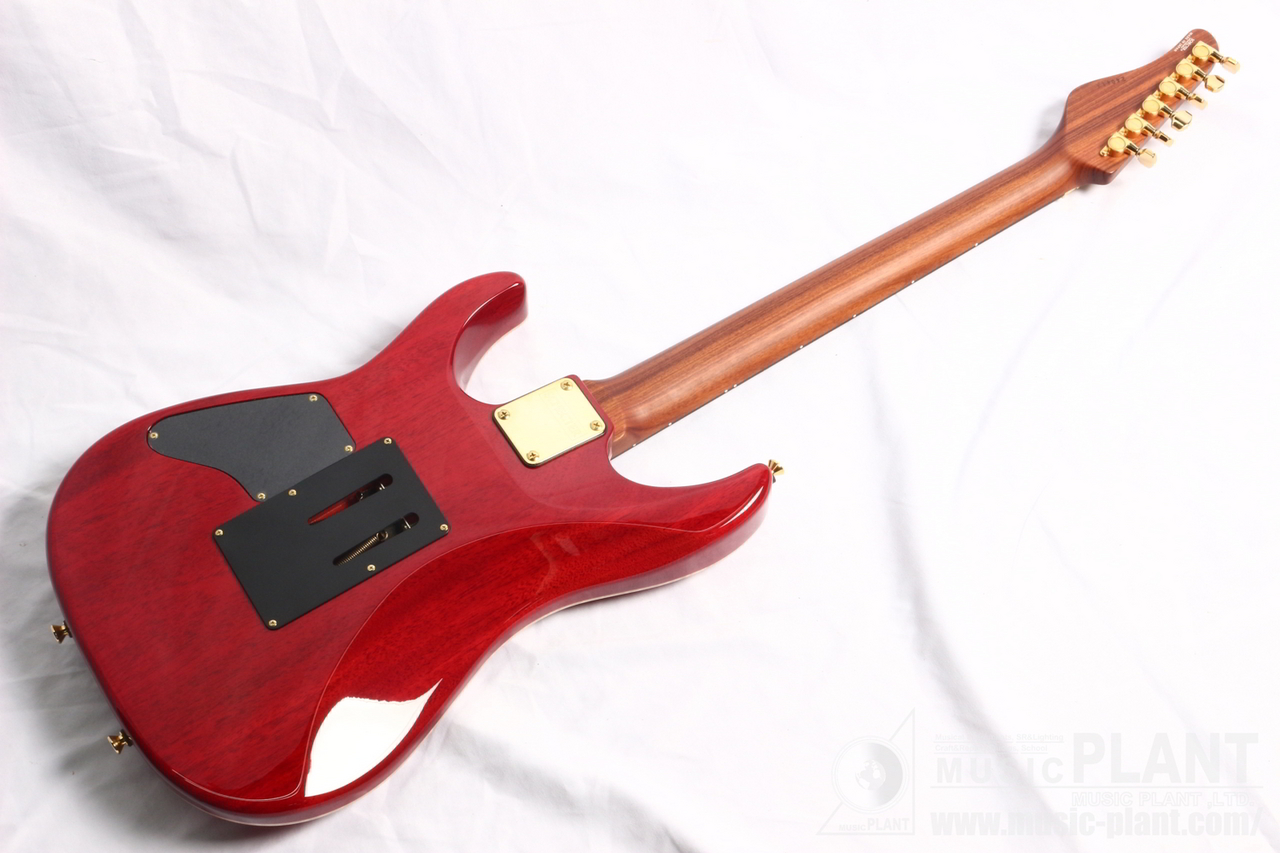 SCHECTER EX-5B-24-CTM-FTR-PFN/CHSB/E(新品/送料無料)【楽器 SCHECTER EX-5B-24-CTM-FTR-PFN/CHSB/E(新品/送料無料)【楽器