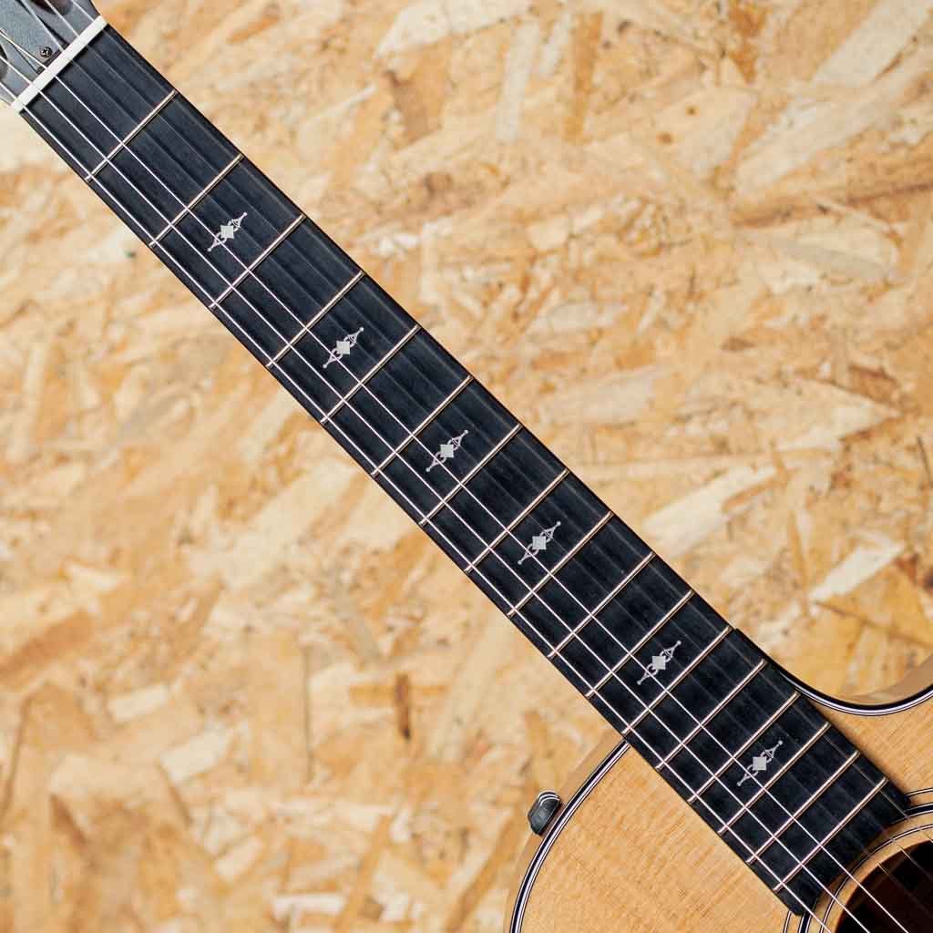 Taylor 312CE-N エレガットギター 極美品 Taylor 312CE-N エレガットギター 極美品 Taylor 312ce-N（新品