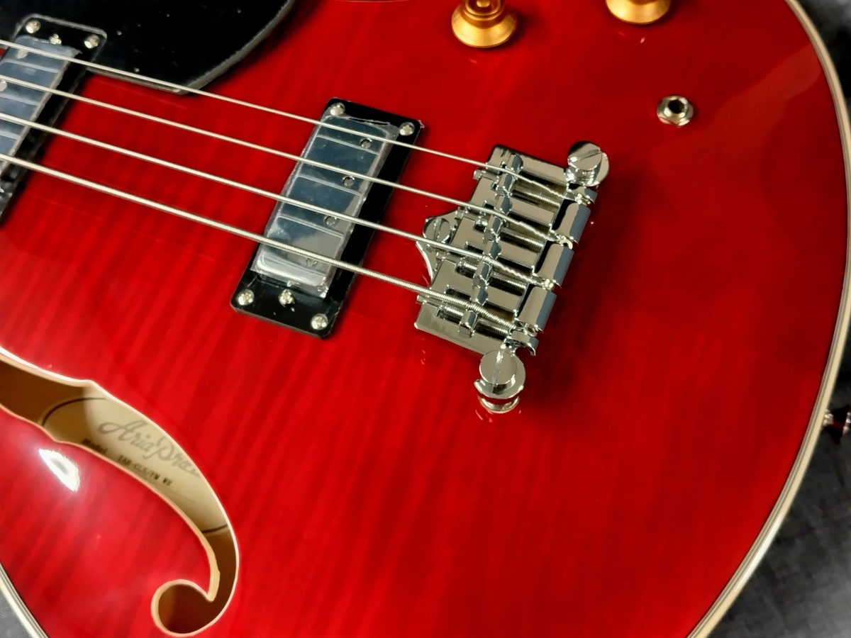 Aria Pro II TAB-Classic/FM WR（B級特価）【楽器検索デジマート】