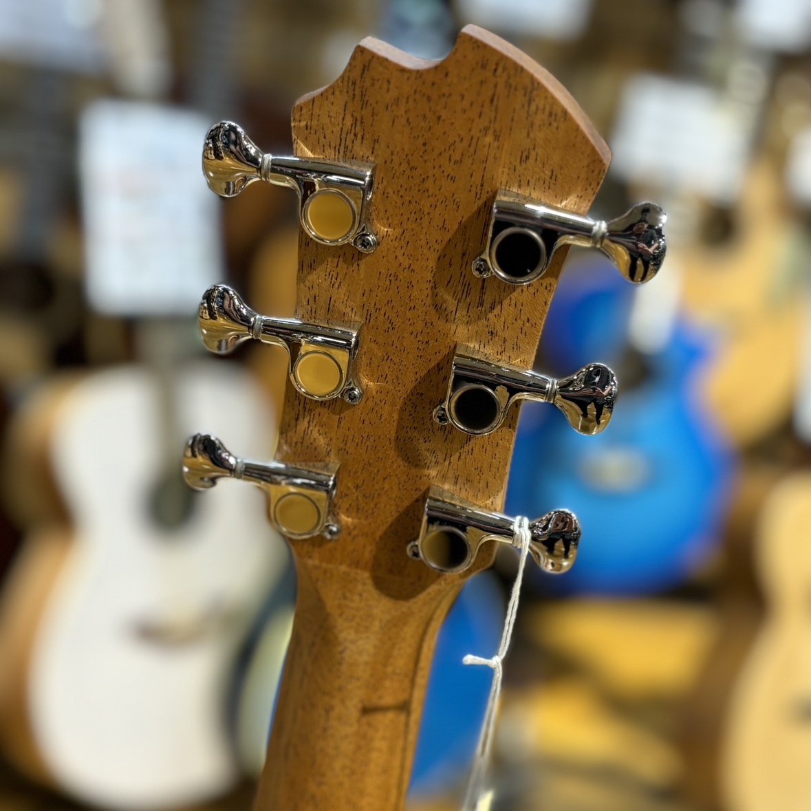 James アコースティックギター JM600ENAS ケース付き James J-100A MHT アコースティックギター ギグケース付属