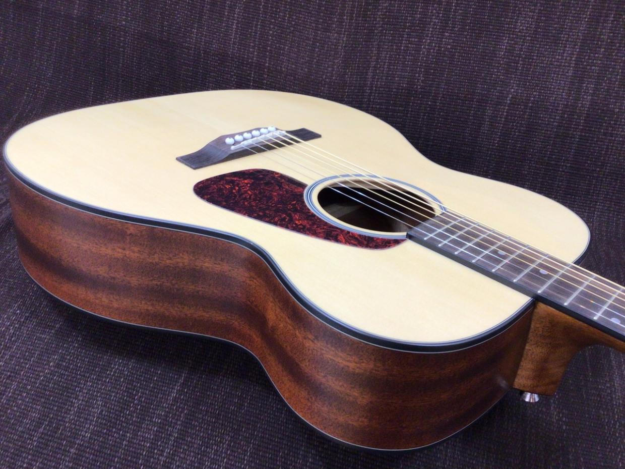 Morris F-1 NAT -Performers Edition-（新品/送料無料）【楽器検索