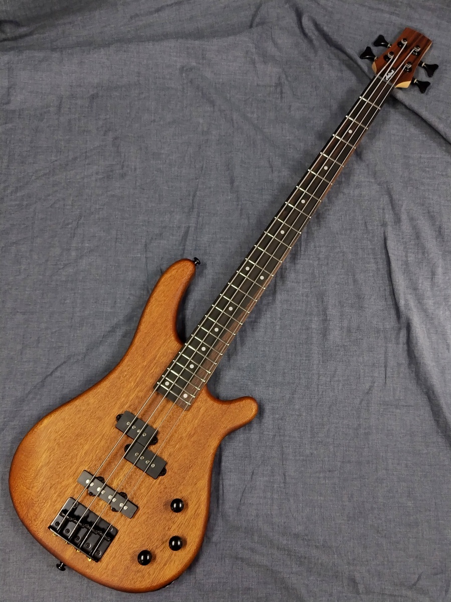 Aria Pro II B-60 STBR Stained Brown（新品特価）【楽器検索デジマート】