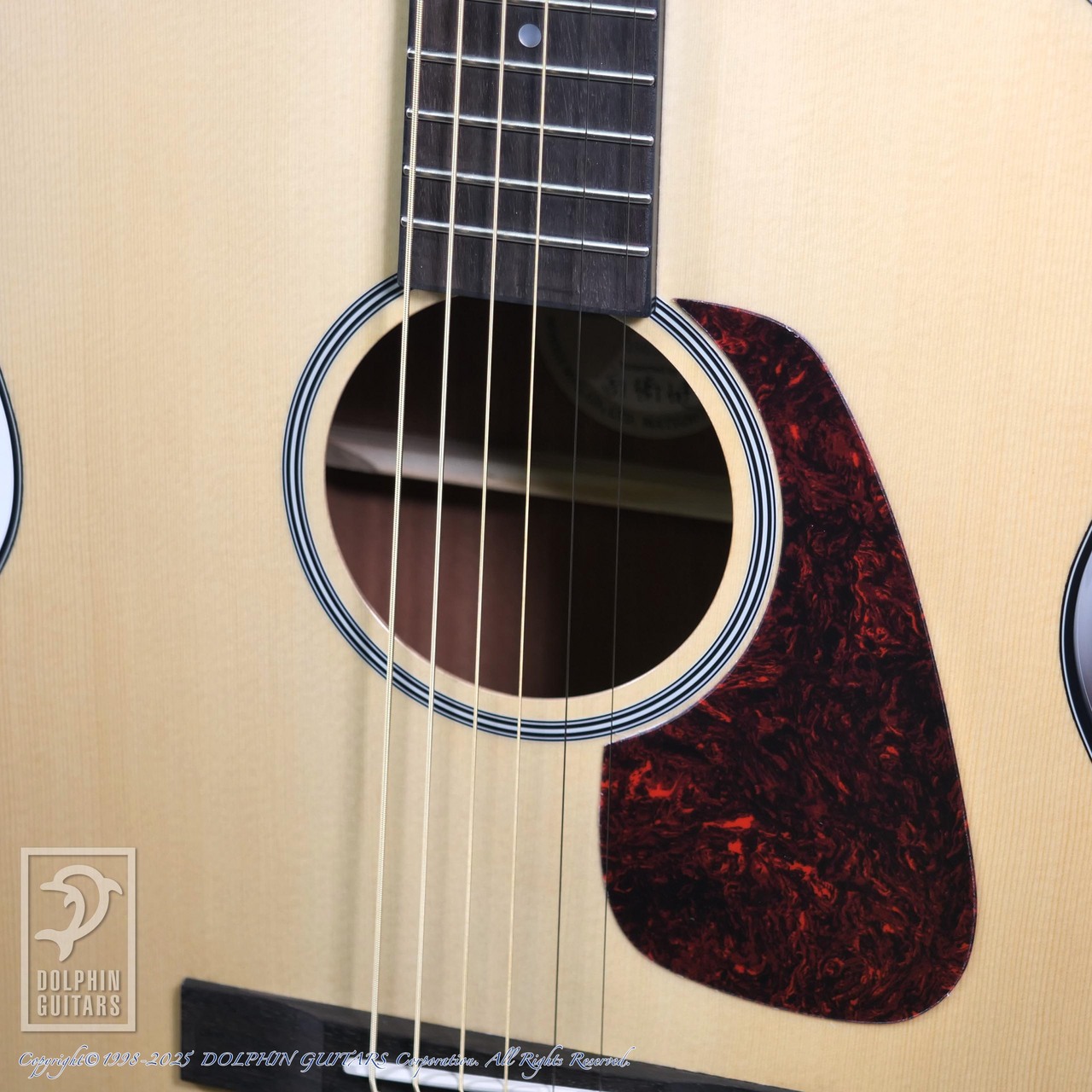 Morris F-1 NAT（新品）【楽器検索デジマート】