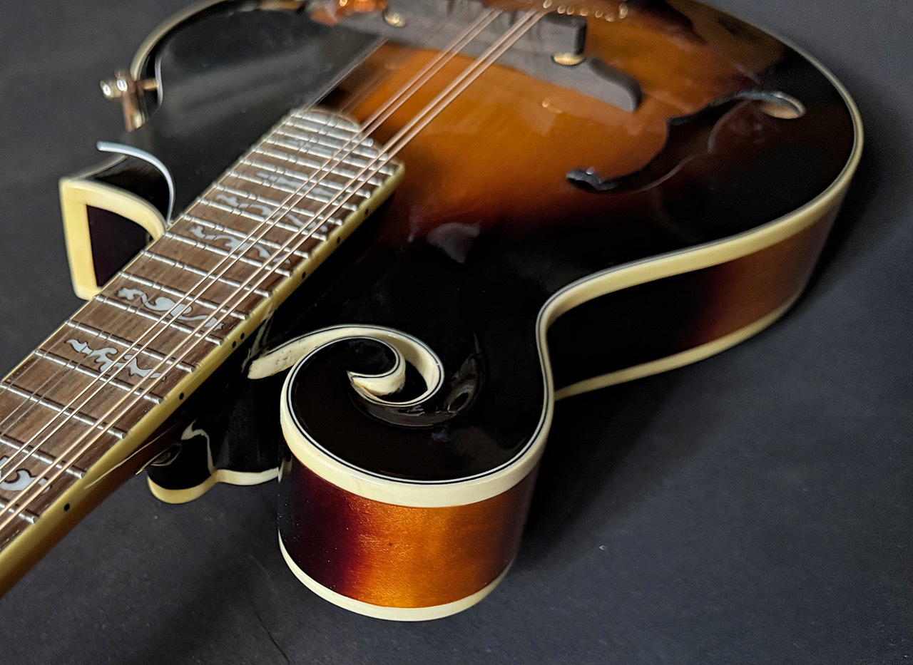 Stafford SF-FM Electric Model（中古）【楽器検索デジマート】