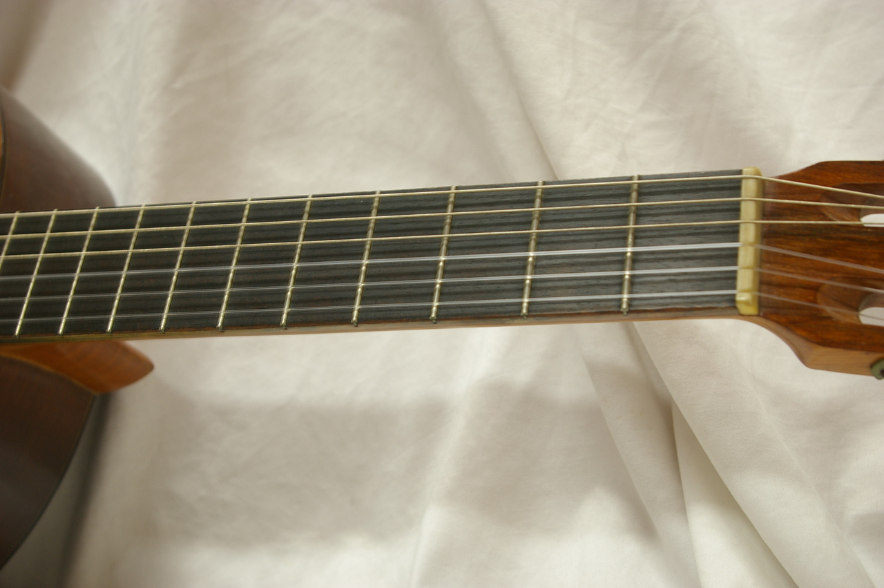 TAKEHARU GUITAR GT-150（中古）【楽器検索デジマート】