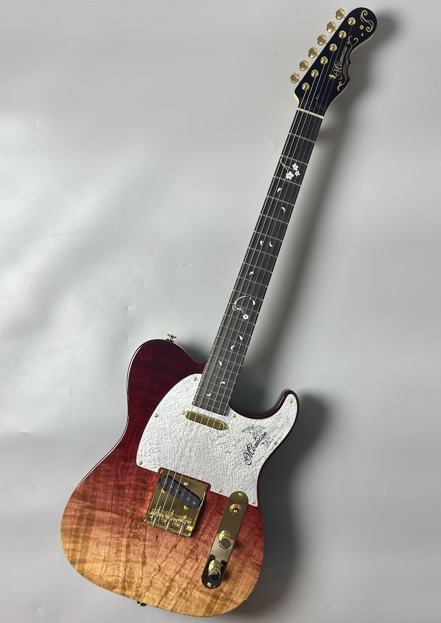 momose MT-SKR'26/E EQS -Yozakura-Gradation- #22247 【当社オーダー
