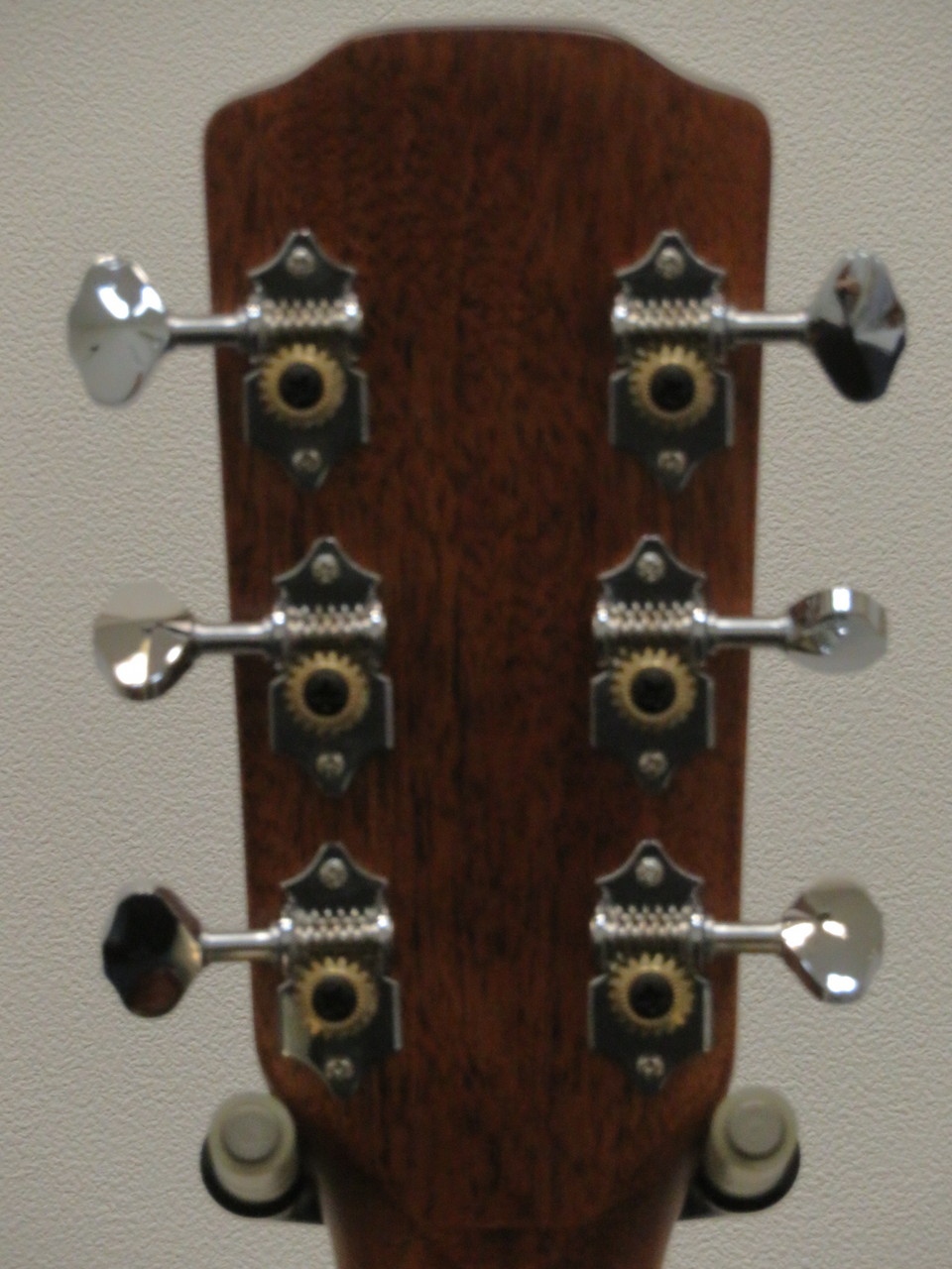 Morris Morris F-1 / NAT(Natural) （新品/送料無料）【楽器検索