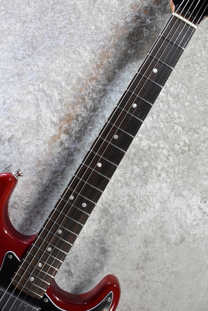 ギター fender usa American professional HH Fender / American Professional II Stratocaster HH Rosewood