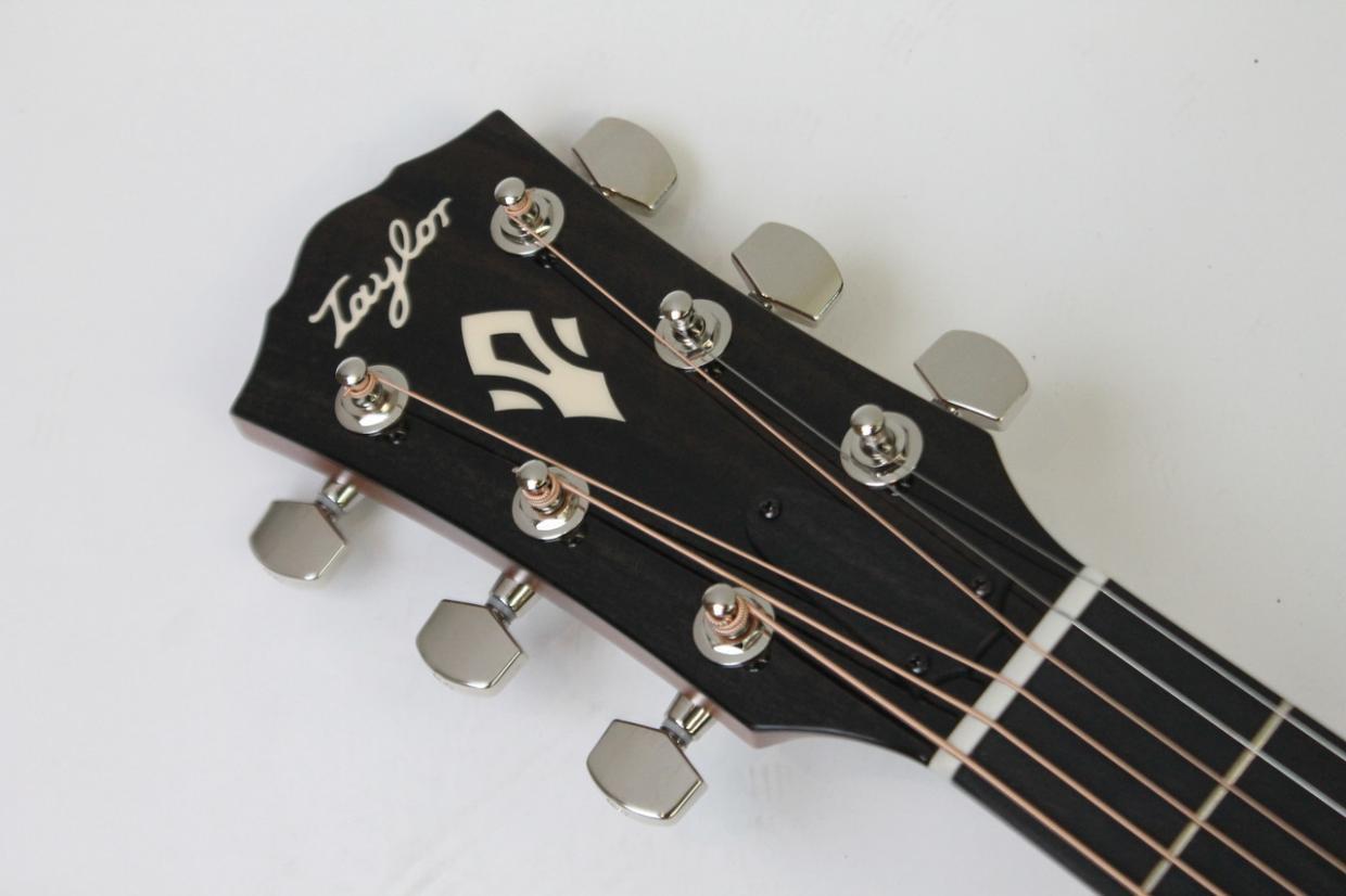 Taylor Gold Label 510e Mahogany / Torrefied Sitka Spruce（新品