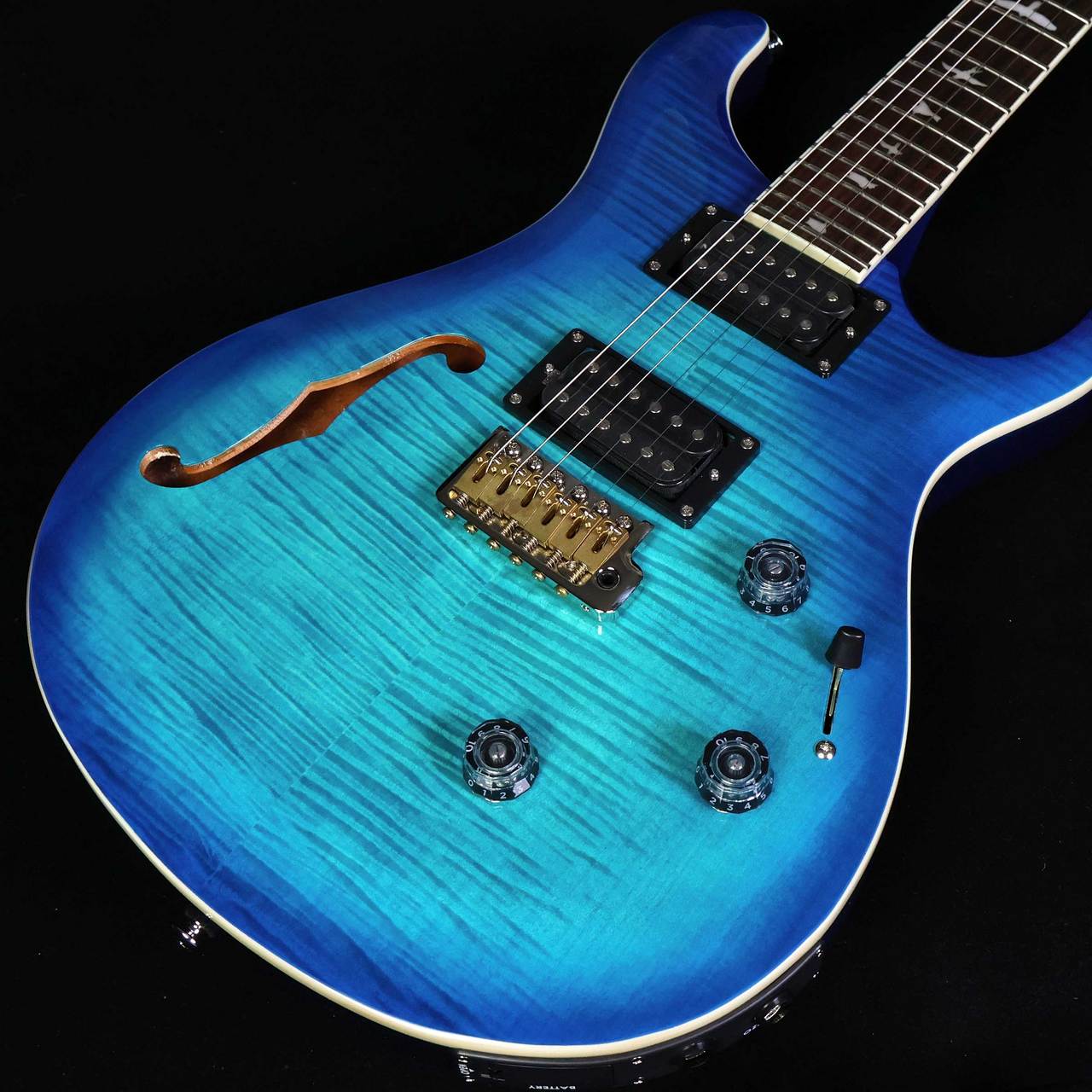 Paul Reed Smith(PRS) SE Custom24 Semi-Hollow Piezo 【未展示品