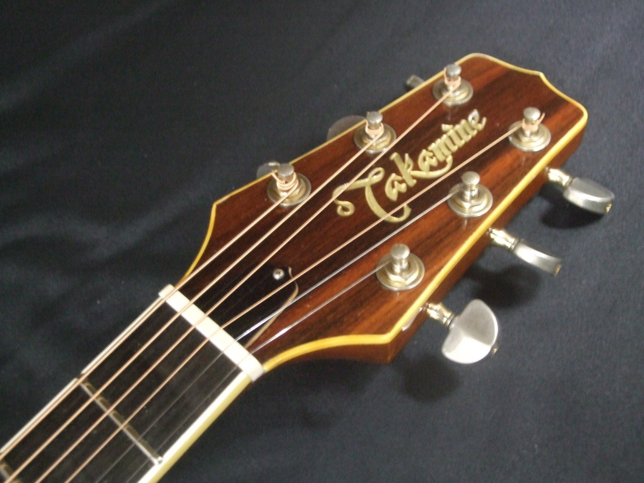 Takamine PTS-015（ビンテージ）【楽器検索デジマート】