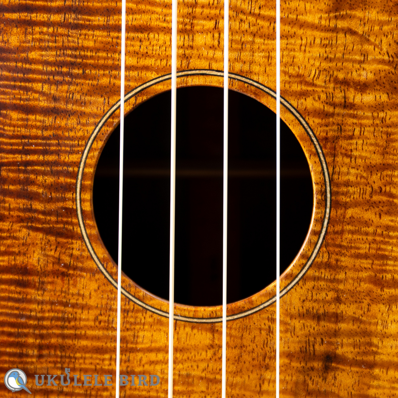 da h(ダ・アッカ) ukulele concert 14f pineapple koa rosewood（新品