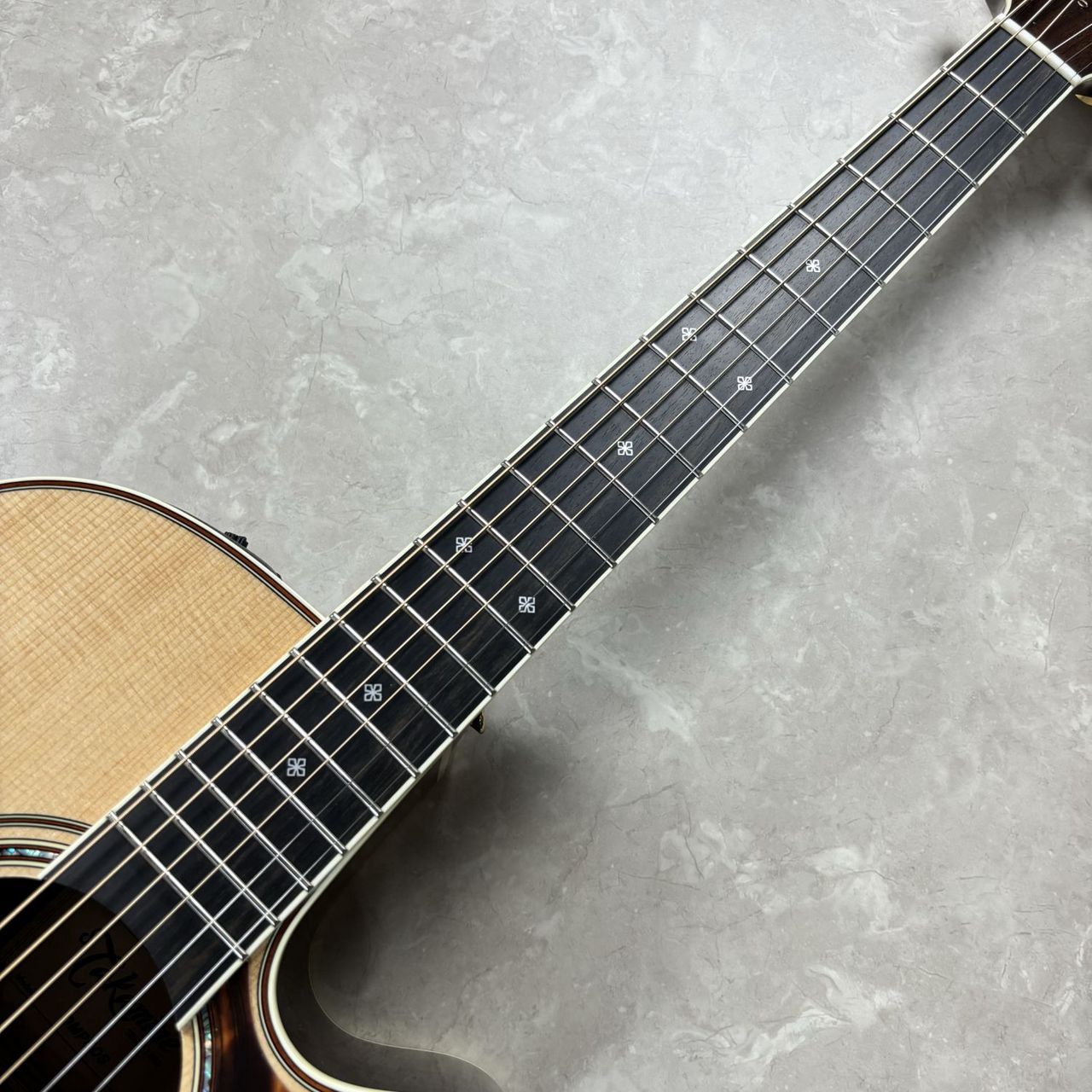 Takamine DMP50S（新品/送料無料）【楽器検索デジマート】