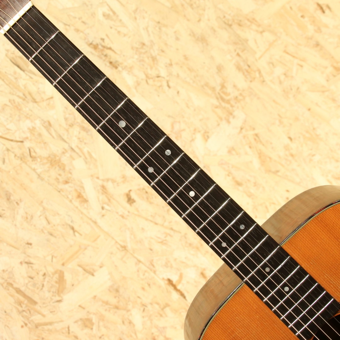 Martin D-21 Jacaranda 1963（ビンテージ）【楽器検索デジマート】