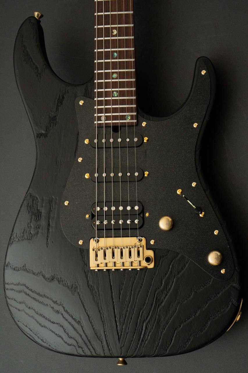 T's Guitars DST Pro 24 Rosewood -Steps Black Mat-（新品/送料無料