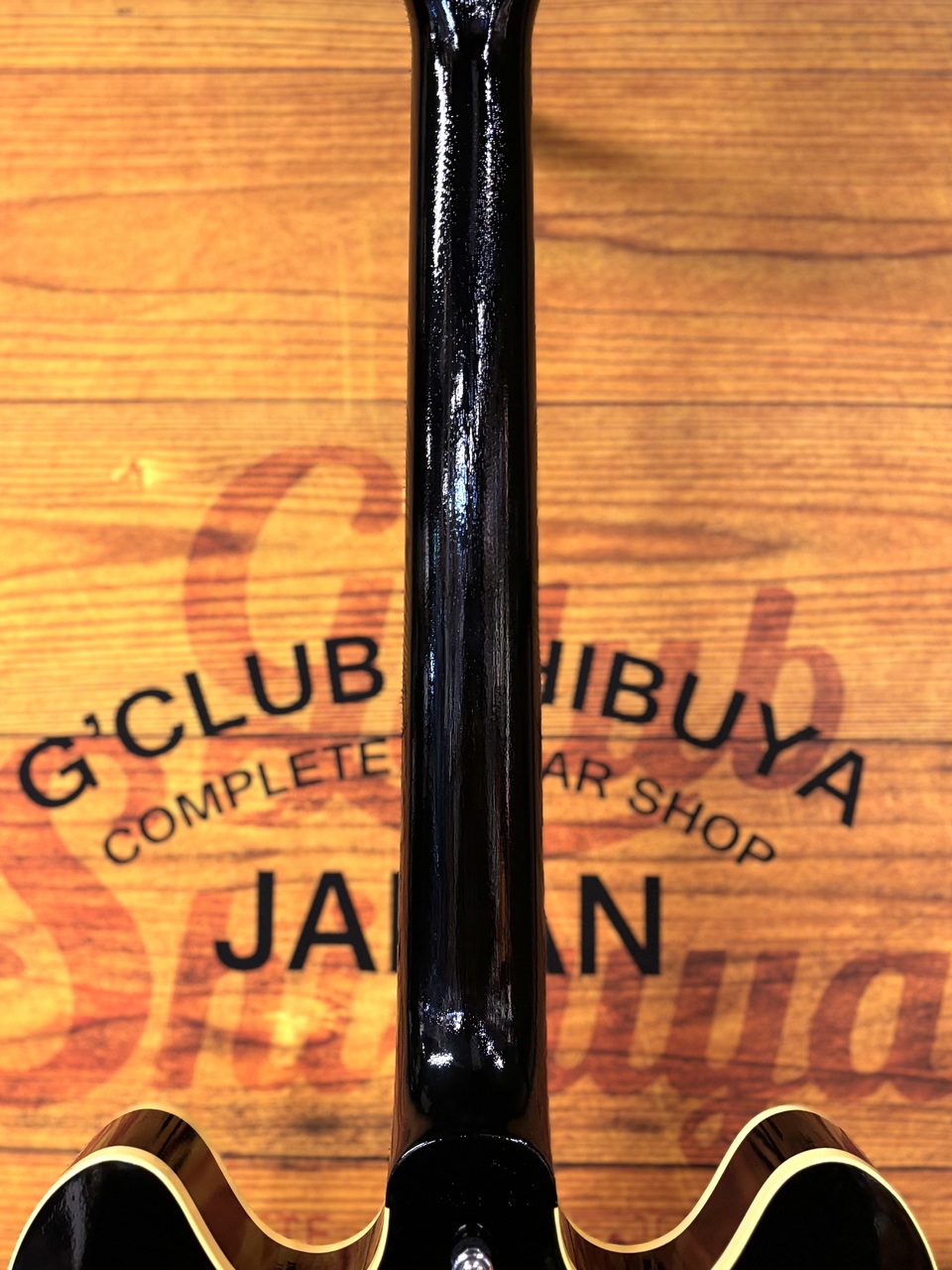 KING SNAKE Swamp ~Black~ #SW-020 ≒2.30kg【48回無金利】（新品