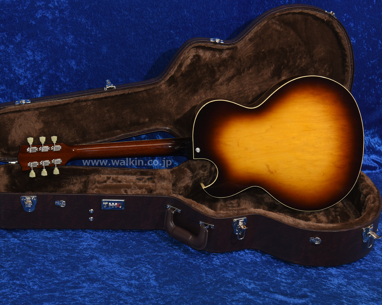 Archtop Tribute ATC175D Classic（新品）【楽器検索デジマート】