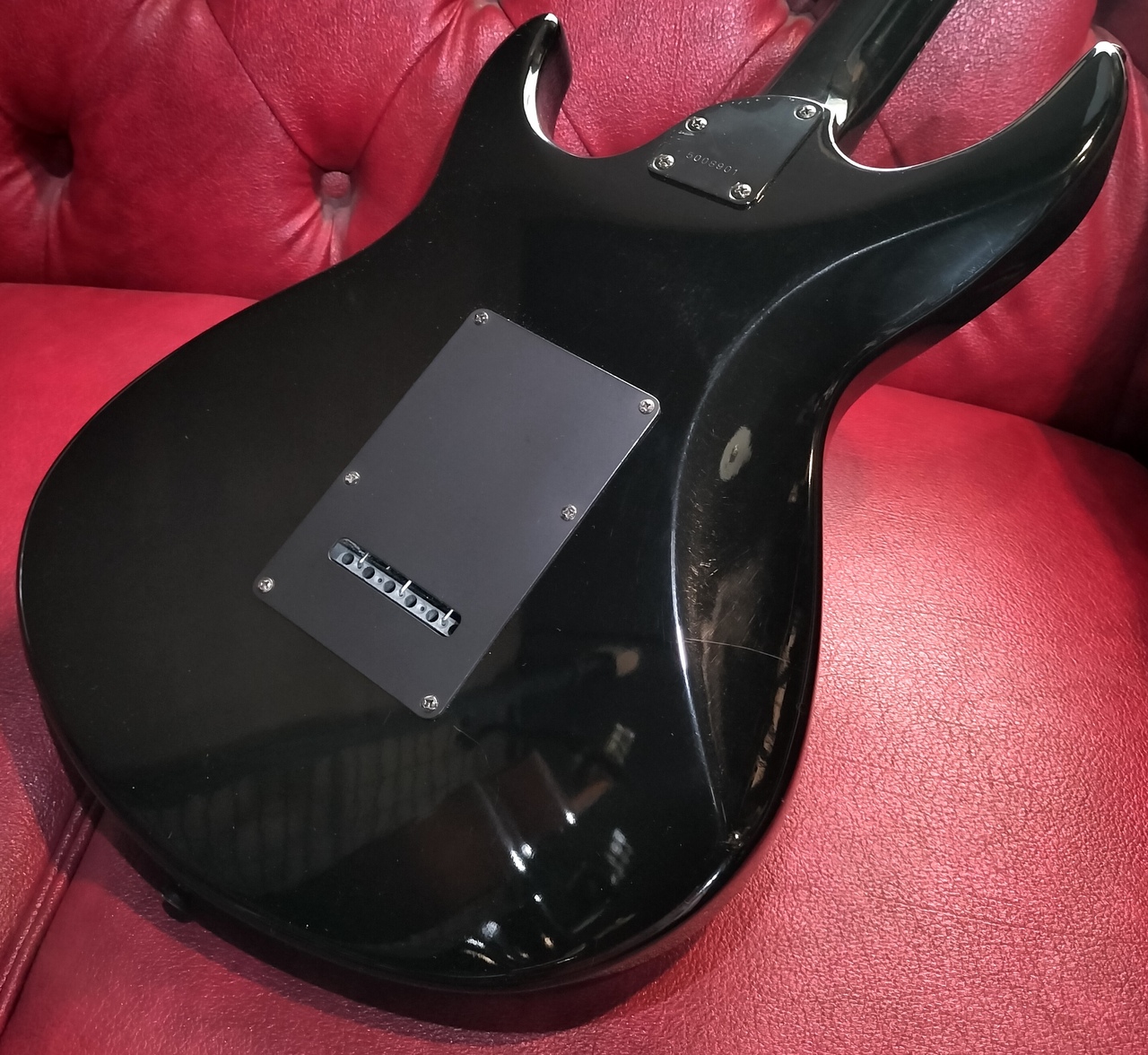 Aria Pro II Black Dog（中古）【楽器検索デジマート】