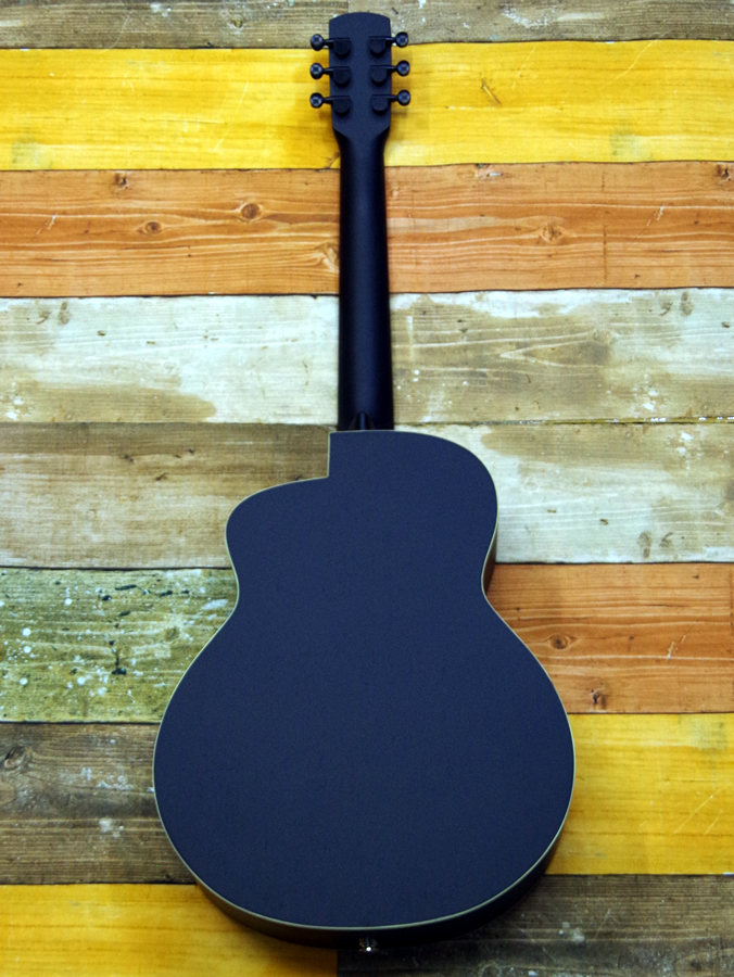 aNueNue M16 Lumiblack Bird/ aNN-ML16E（新品）【楽器検索