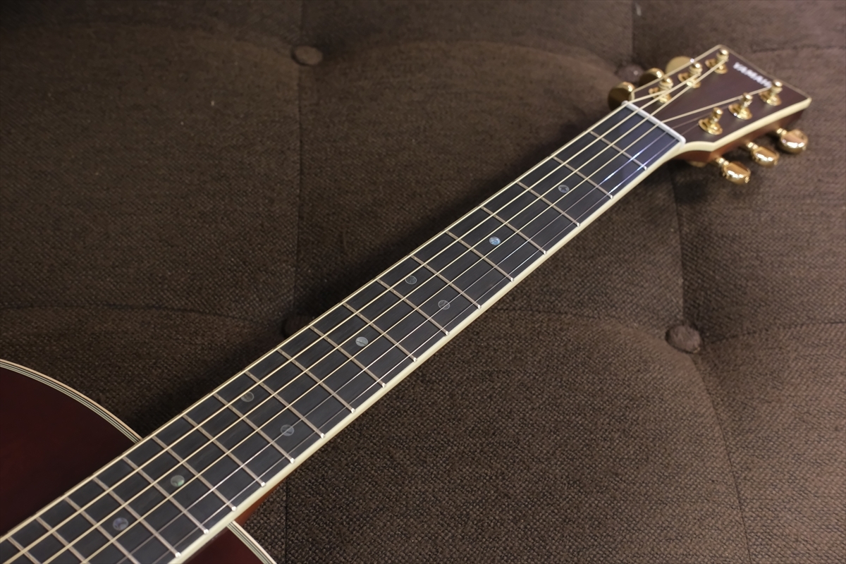 YAMAHA LL16 ARE / BS（新品/送料無料）【楽器検索デジマート】