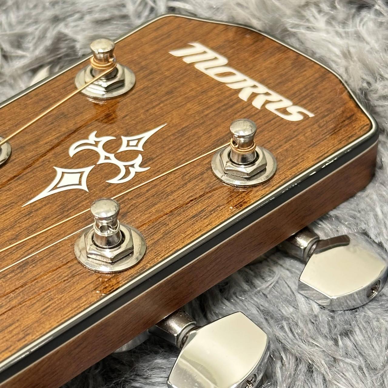Morris M-025 / TS(タバコサンバースト)（新品特価/送料無料