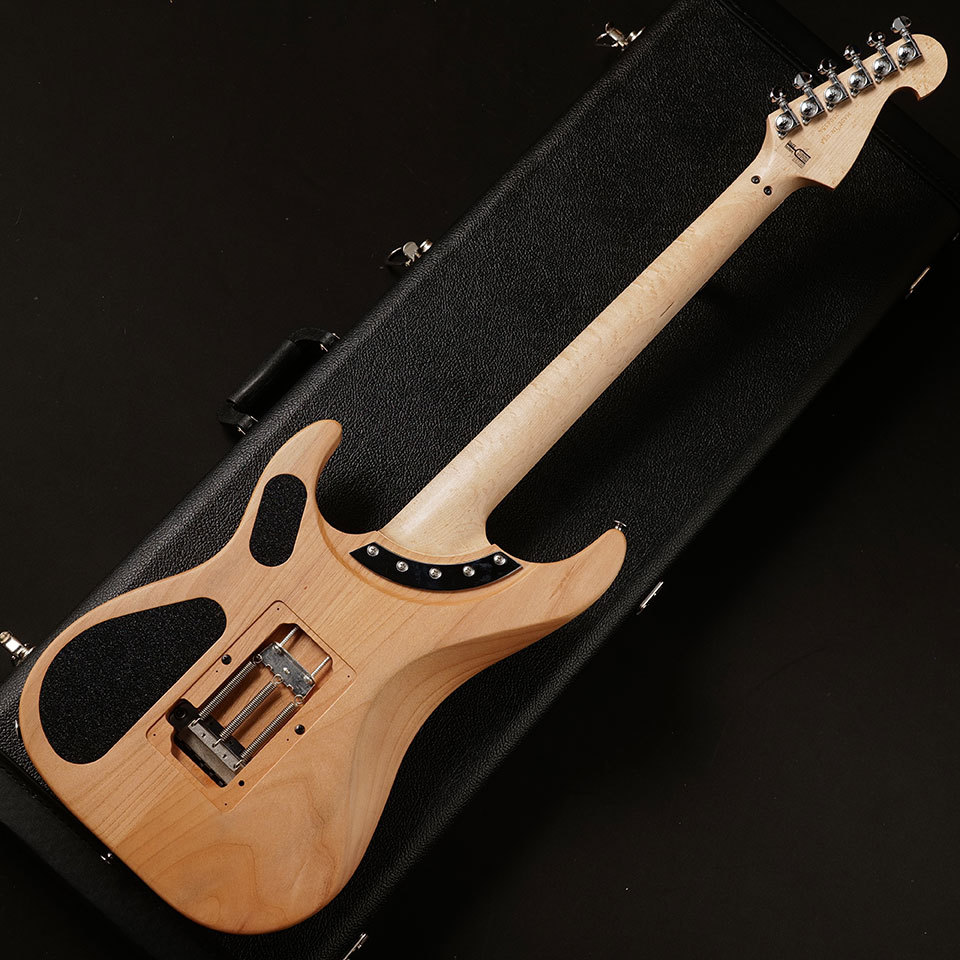 Washburn N4-NUNO VINTAGE #6554【3.17 kg】（新品/送料無料）【楽器