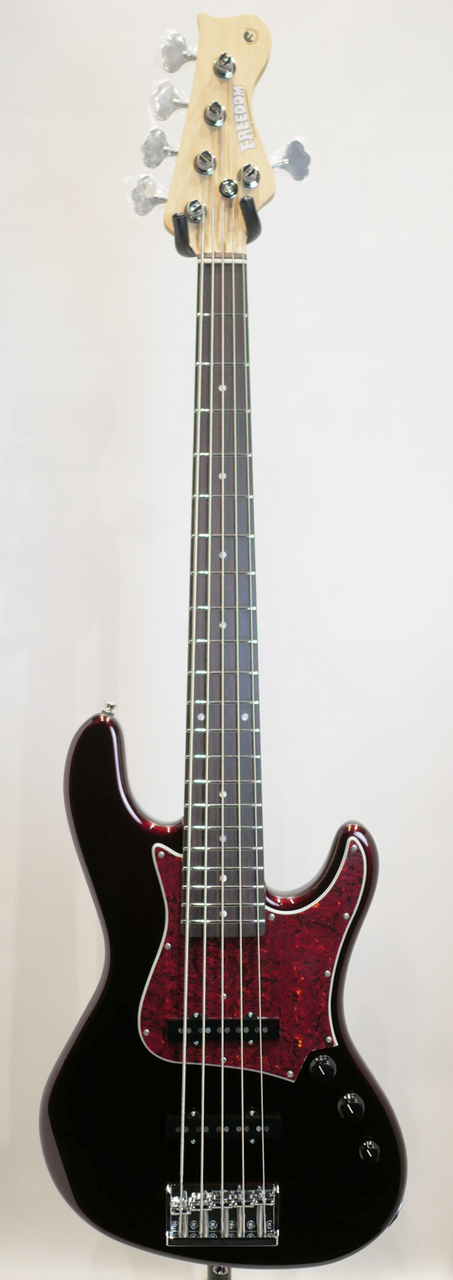 FREEDOM CUSTOM GUITAR RESEARCH C.S. Anthra-5st / Vampire（新品