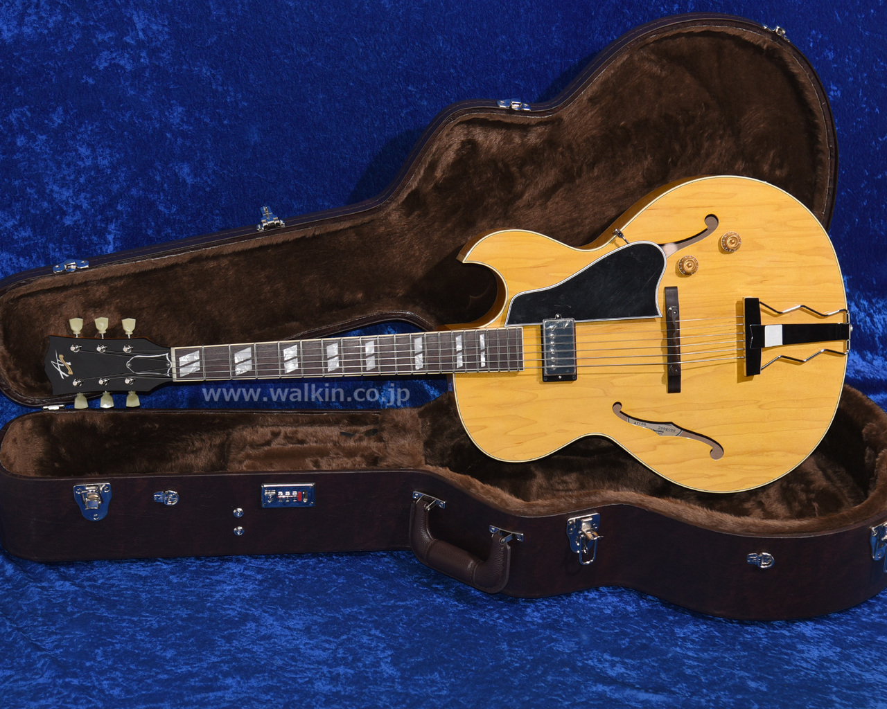 Archtop Tribute AT105（新品）【楽器検索デジマート】