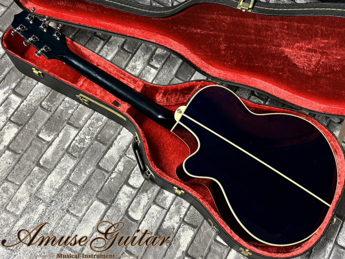 Takamine タカミネ PT-106 エレアコGRAPH-EX preamp Takamine PT106