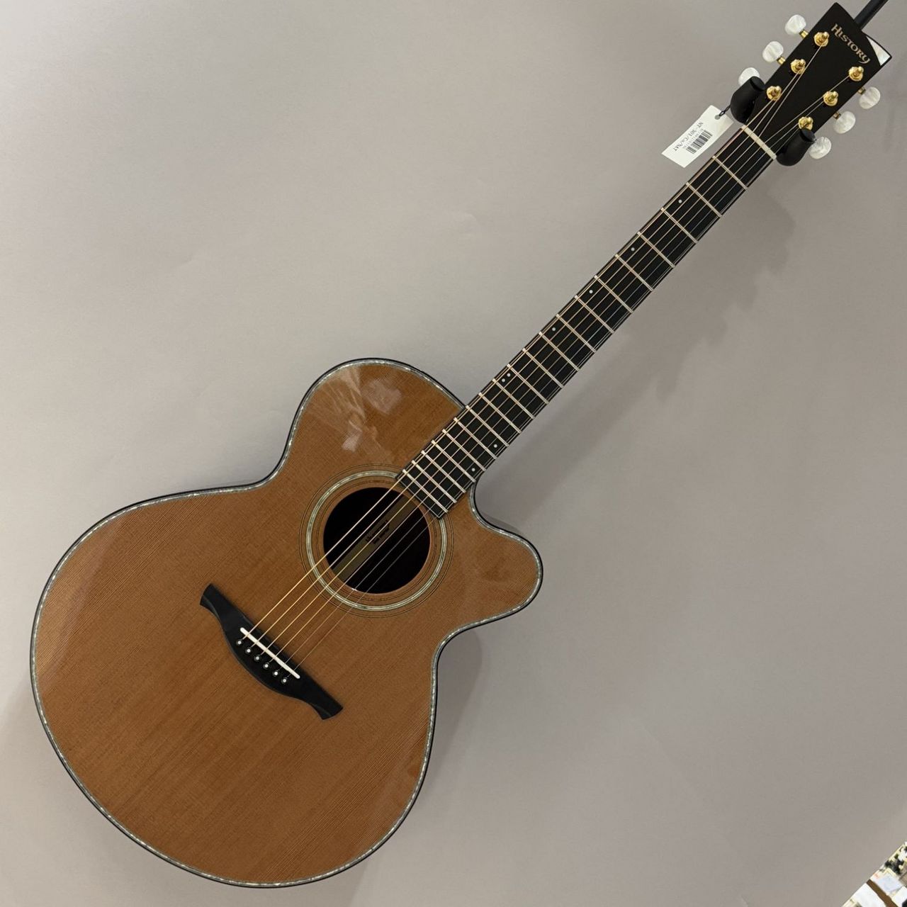 HISTORY NT-301/CA NAT エレアコギターNT301CA ナチュラル（新品