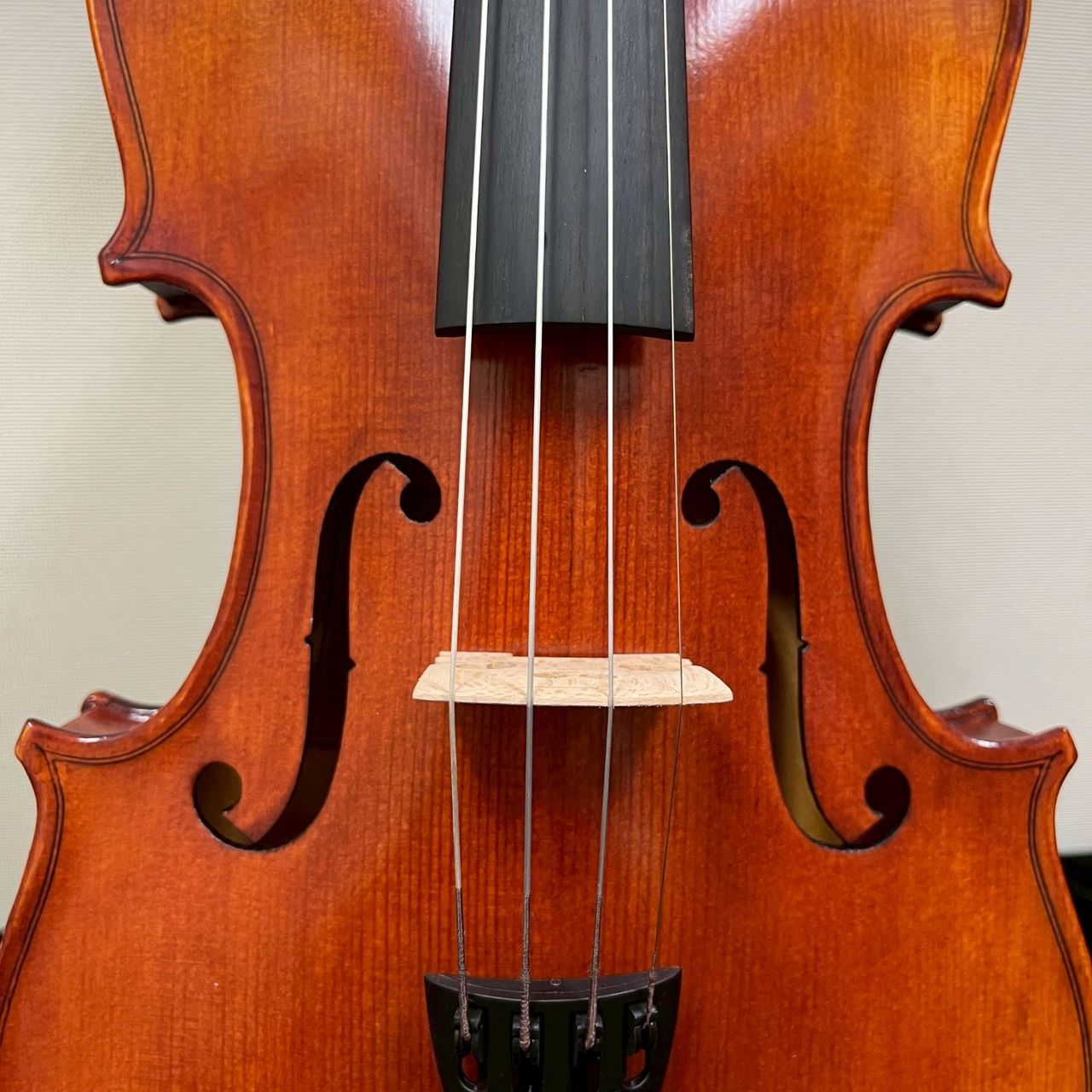 Carlo Giordano VS-S1 4/4 アンティーク仕上げ バイオリンセット（新品
