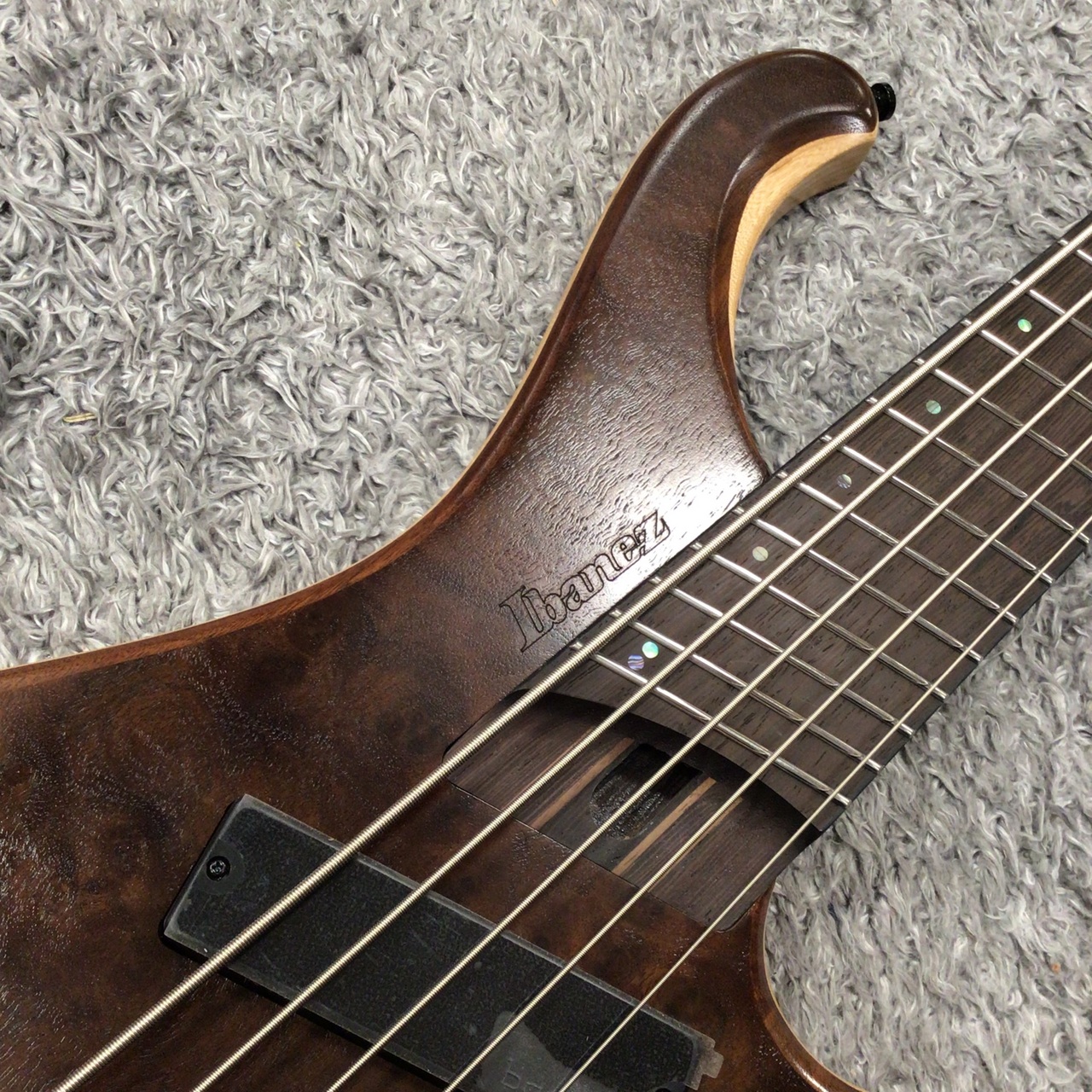 Ibanez EHB1265MS NML スポットモデル Amazon | Ibanez EHB1265MS NML : Natural Mocha Low Gloss 5弦
