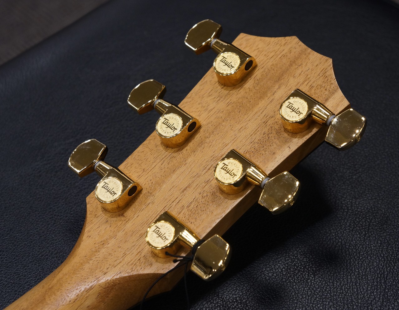 Taylor 217e-SB Plus LTD 50th Anniversary【Taylor50周年記念