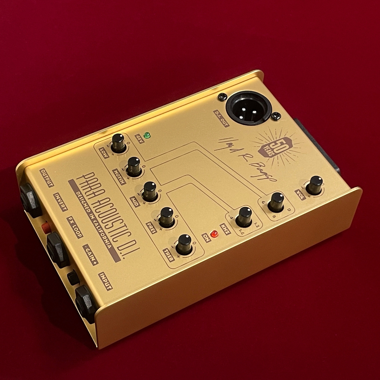 L.R.Baggs 50th Anniversary Gold Para DI 【国内300台限定】【LR