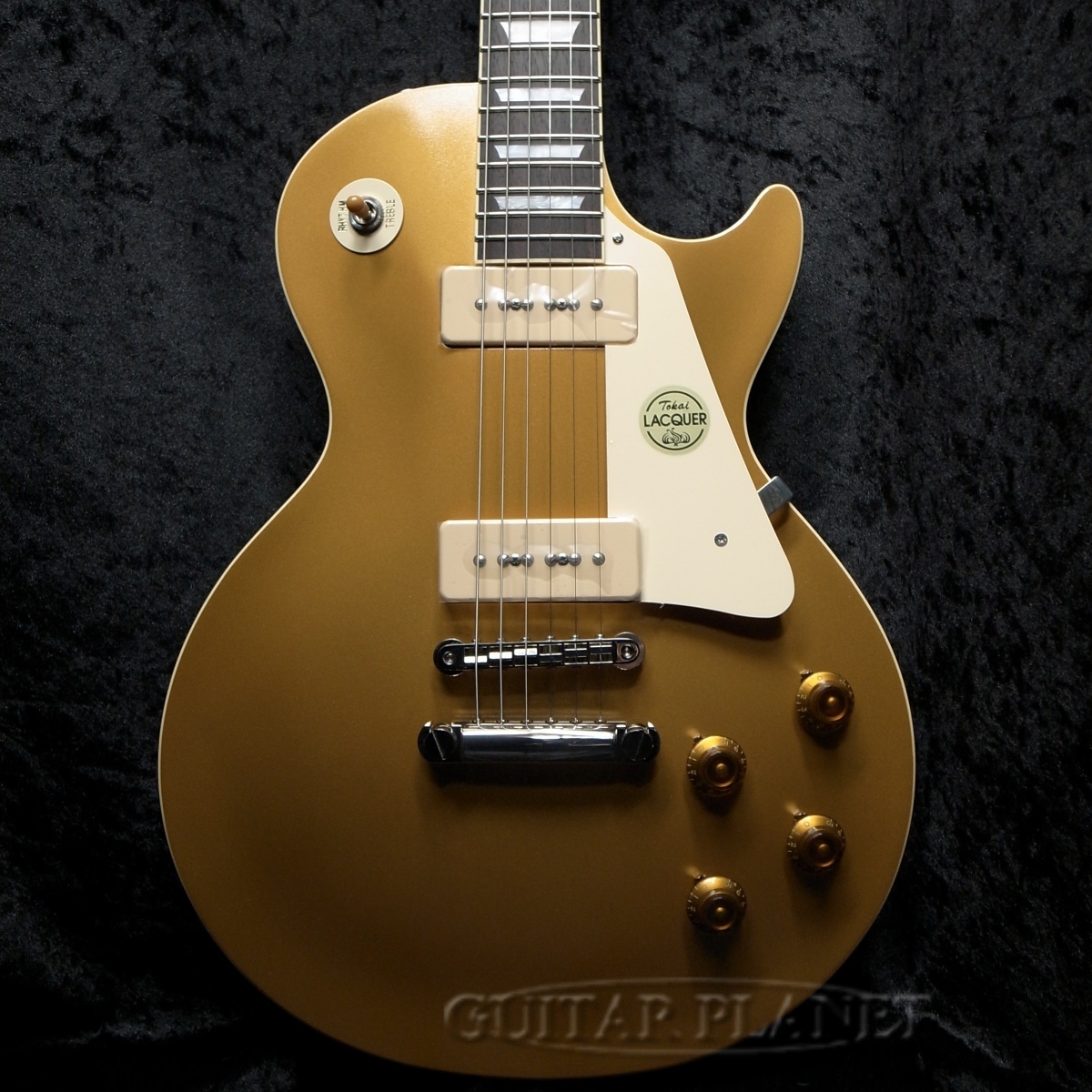 Tokai LS-GP/P-90 C/GT/DB【オールラッカー】【弊店オーダー限定モデル