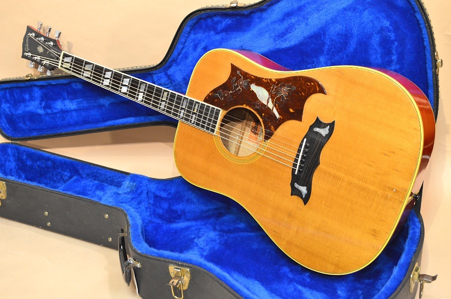 Gibson DOVE CUSTOM Early1970's（ビンテージ/送料無料）【楽器検索