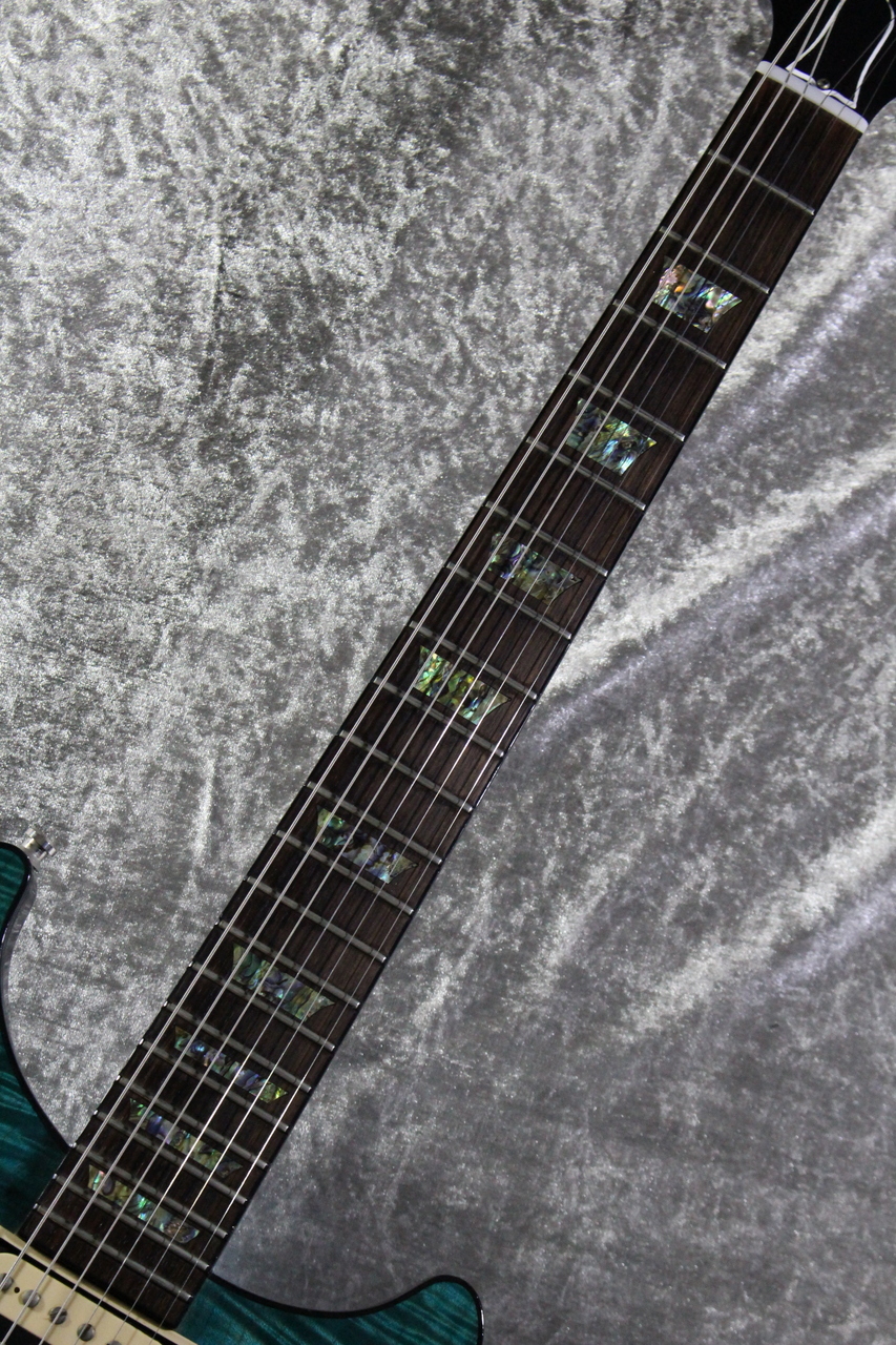 Gibson Custom Shop 【歳末セール】Tak Matsumoto DC Standard 