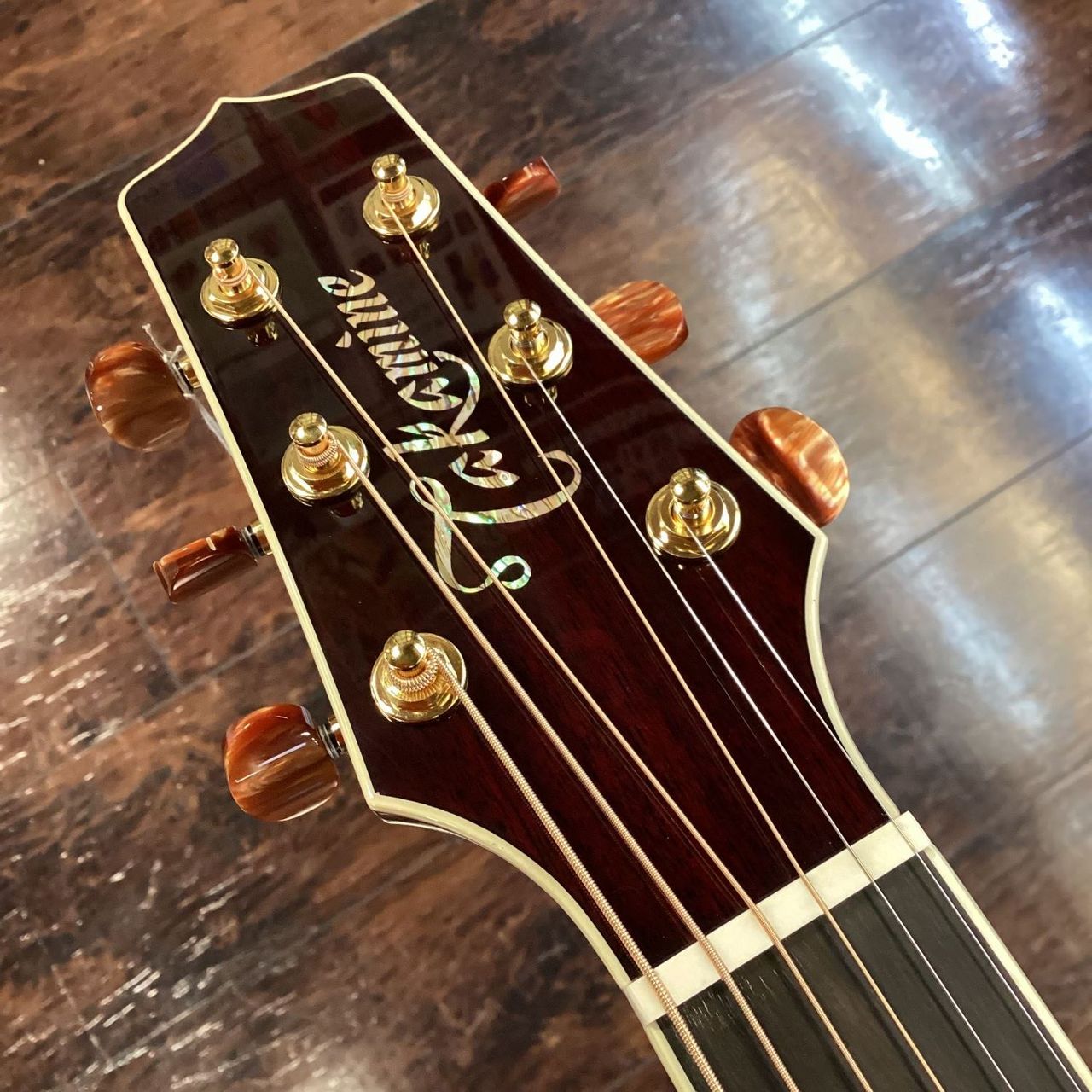 takamine DMP50S 島村楽器コラボ　ギター Takamine DMP50S WR エレアコギター ギグケース付属 【島村楽器