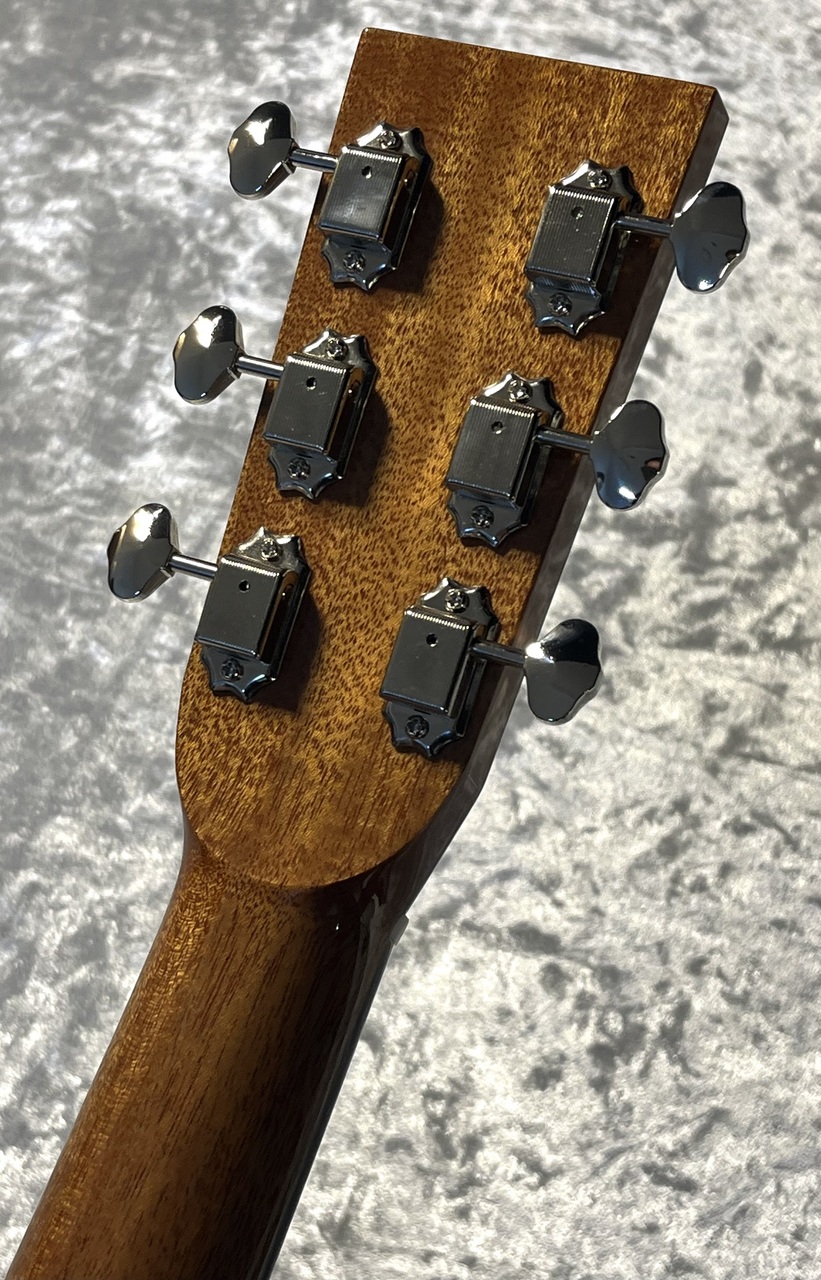 Asturias Solo Standard 国産 アコースティックギター ASTURIAS SOLO STANDARD C アコースティックギター(アストリアス ソロ