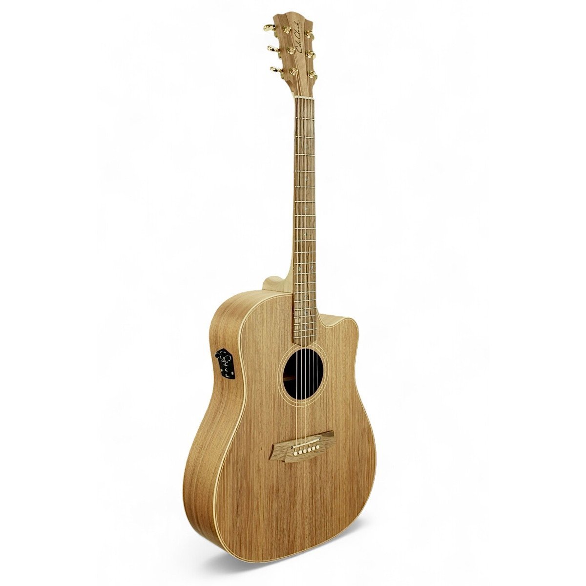 Cole Clark Touring Series CCFL2EC-BLBL 2 Grade All Blackwood